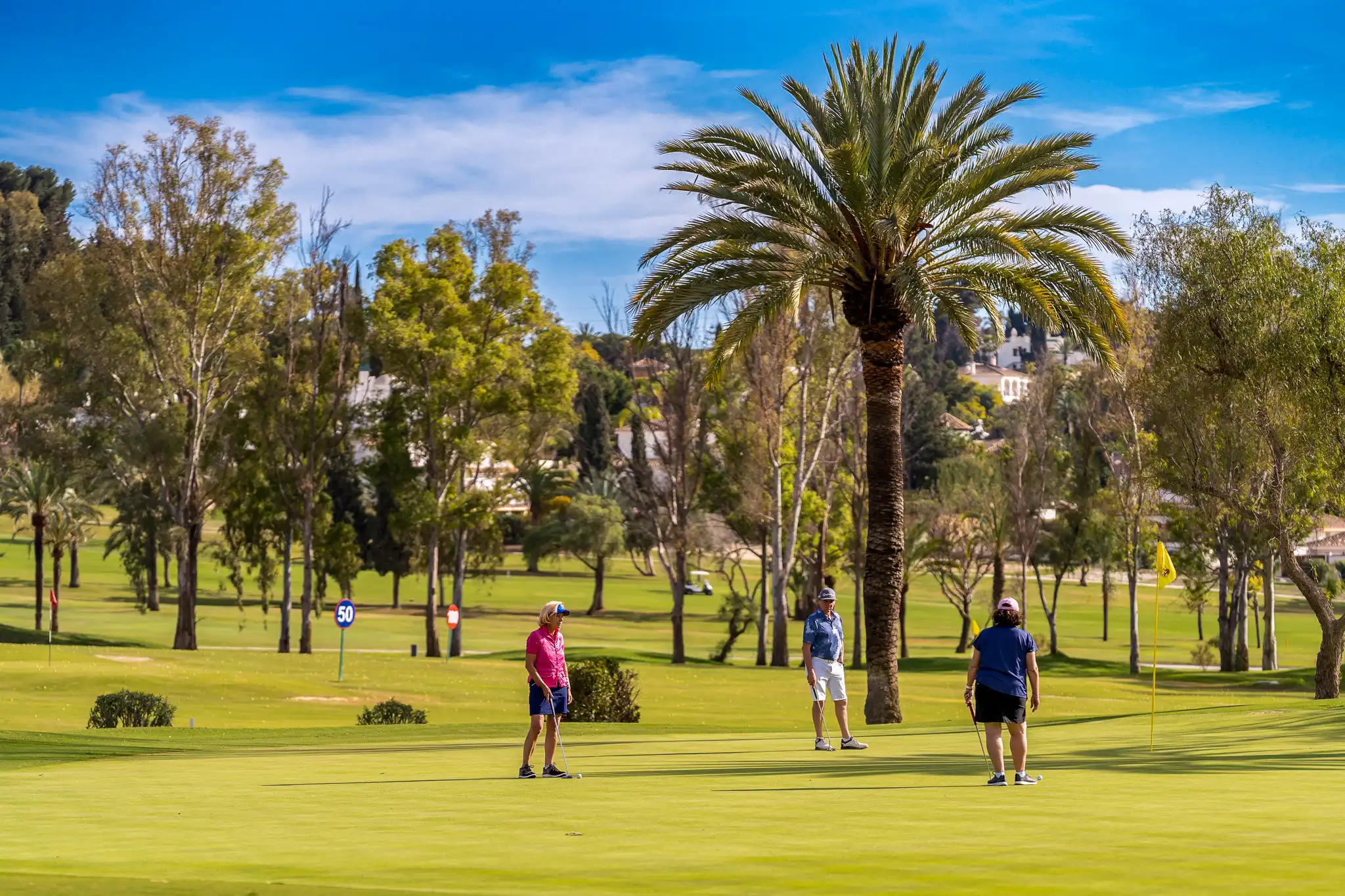 El Paraiso Golf Club - Estepona, Malaga Spain - Golf club green hoyo 16-2